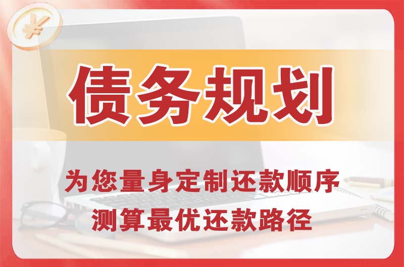 河间债务规划